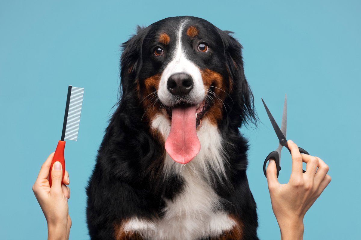 WiskrPets's tweet photo. Pet Services Business? Need Booking Software?
Groomers, Walkers, Sitters, Boarders, Trainers, Therapists, Instructors, Photographers...
https://t.co/BpIL4Fl0mJ
#animals #petplatform #petservices #businessplatform #onlinebookings #businessservices #business #pets https://t.co/3IUcY35voB