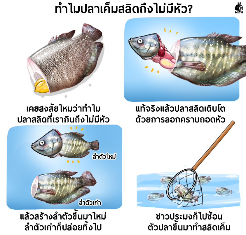 ปารวตี รัตติกาลV.00 on Twitter: ปารวตี รัตติกาลV.00 On Twitter: