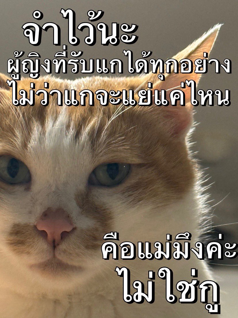 _ThiraX's tweet image. #cppsfact