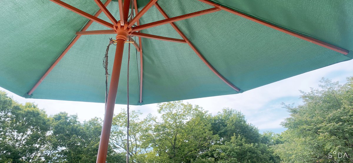 おはは〜☀️

昨日はたくさんの緑に囲まれつつ、
全開リフレッシュして最高だったのです〜

そして今日からは怒涛のお仕事と、バイト！頑張ります💪(  ˙꒳​˙💪  )

そして嬉しいご縁も頂き、まだまだレベル上げに勤しみますぞぉ🙌🔥 https://t.co/FjqlotSAQk