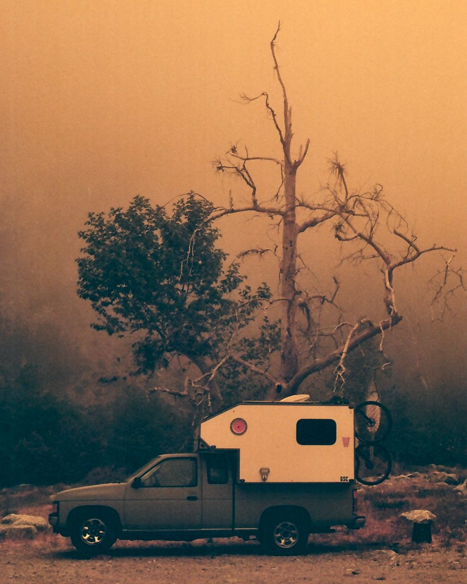 William↟ tweet media