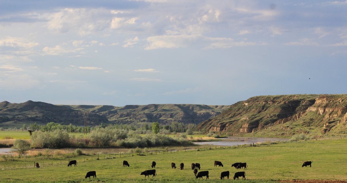 PRBResCouncil's tweet photo. Namesake river. #spring #protectprairie #green #powderriverbasin https://t.co/o5qjOpVUAA