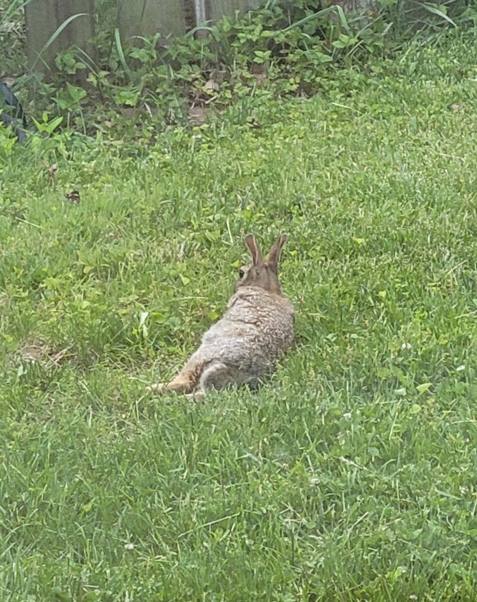 Raising Unmasked Autistic Kids tweet media