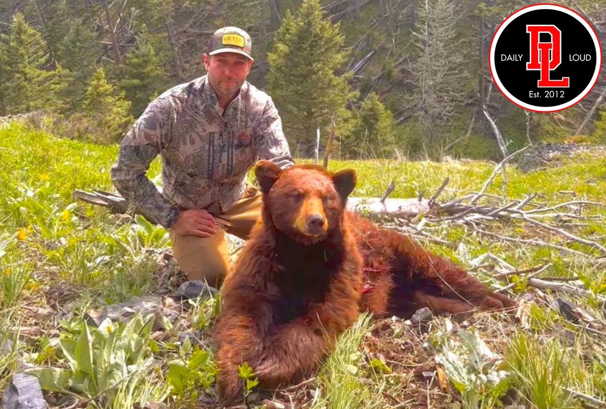 Daily Loud tweet media