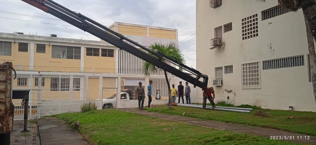 En apoyo a CORPOELEC, se realizó la siembra de 1 poste de baja para la mejora del sistema eléctrico del sector "Bloques de Playa; Grande" en el Mcpio. Bermúdez.
#PueblosDelSurUnidos