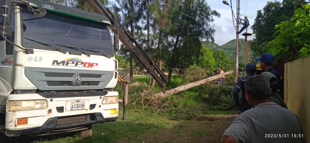 Prestamos apoyo con la poda y levantamiento de árbol que cayó en cableado eléctrico en el sector Club de Leones, Pquia. Santa Catalina, Mcpio Bermúdez.
#PueblosDelSurUnidos
