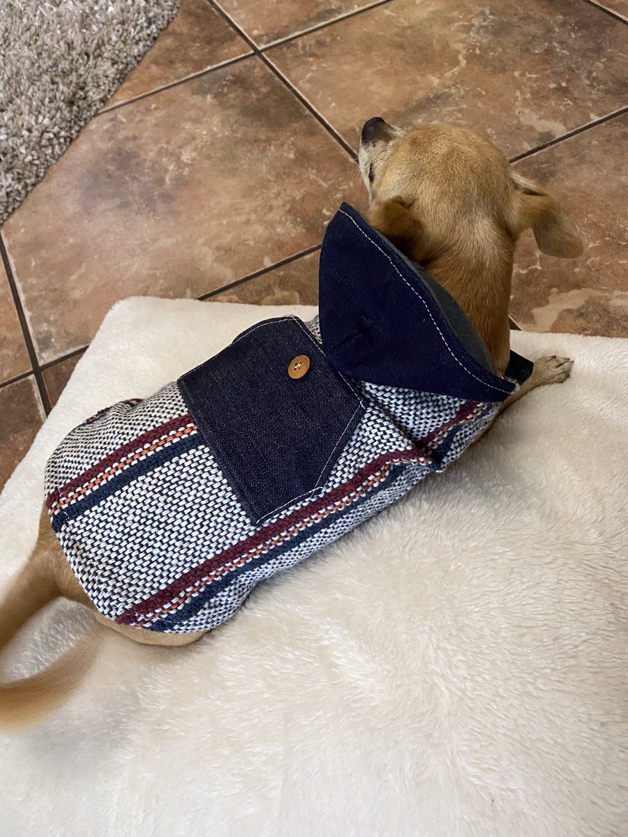 MyMoxyPets's tweet photo. Dog Poncho Jean Hoodie Denim Style by MoxyPetApparel https://t.co/F41ONMKQT0 via @Etsy https://t.co/HiC6b2h3j5