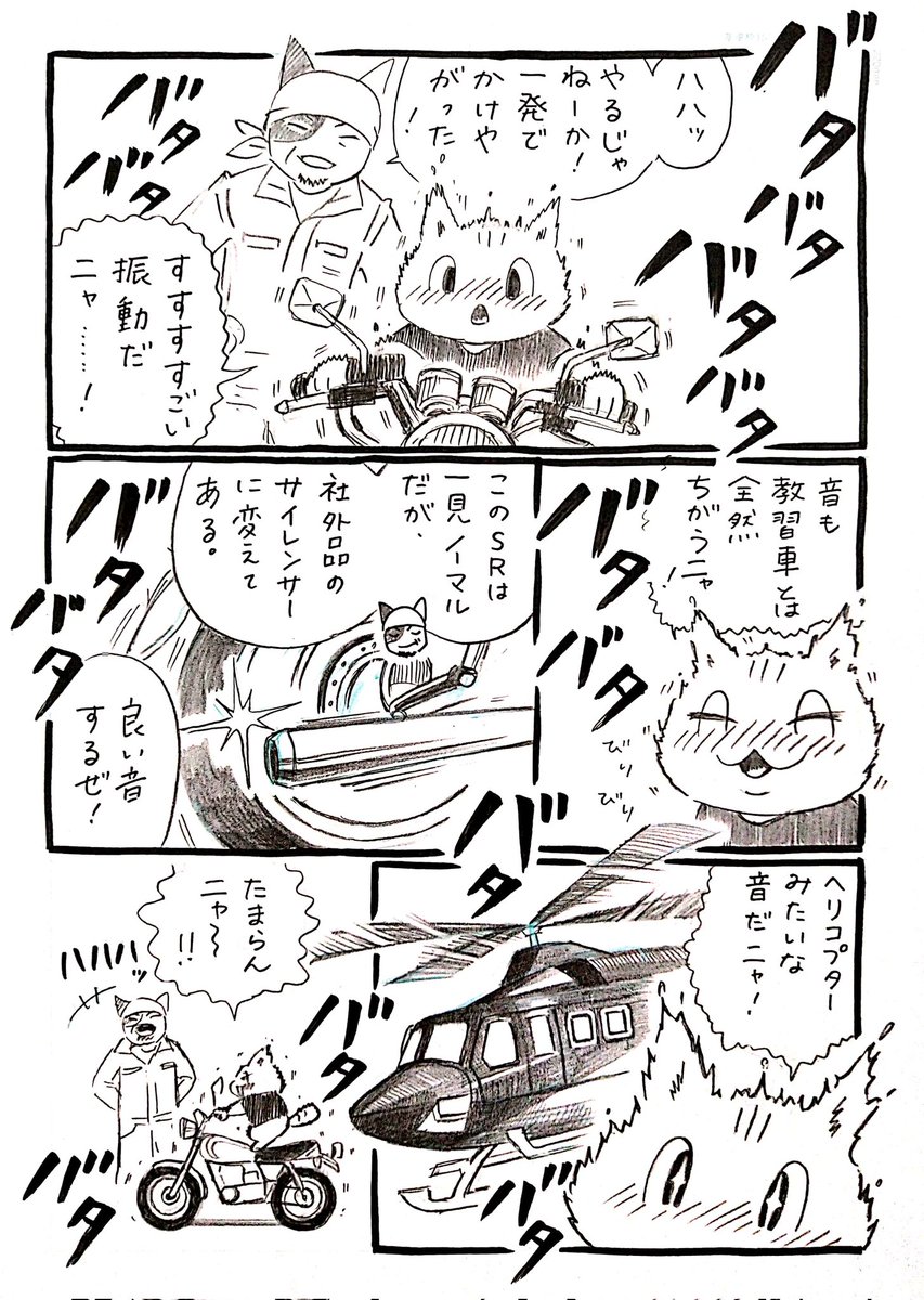 ネコがバイクに出会う漫画「ネコ☆ライダー」第8話🏍️🐈️ #ネコライダー