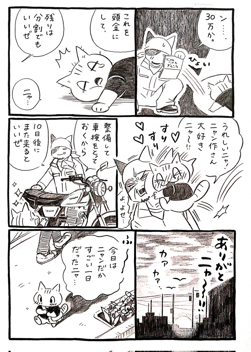 ネコがバイクに出会う漫画「ネコ☆ライダー」第8話🏍️🐈️ #ネコライダー