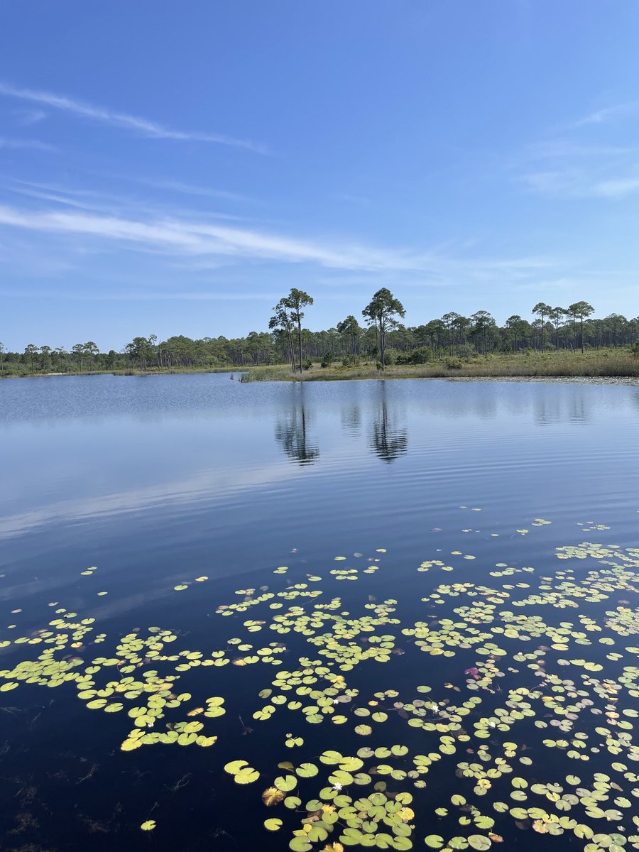 Patrick Yachimski, MD MPH (@patyachimski) on Twitter photo 