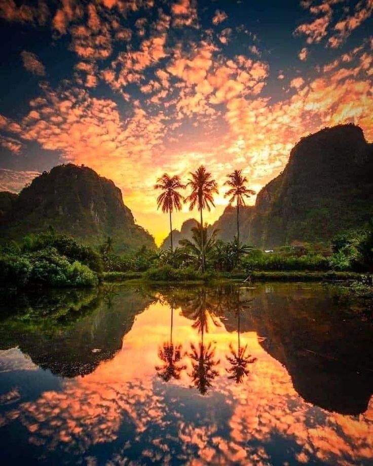 Hawaii sunset 🌇