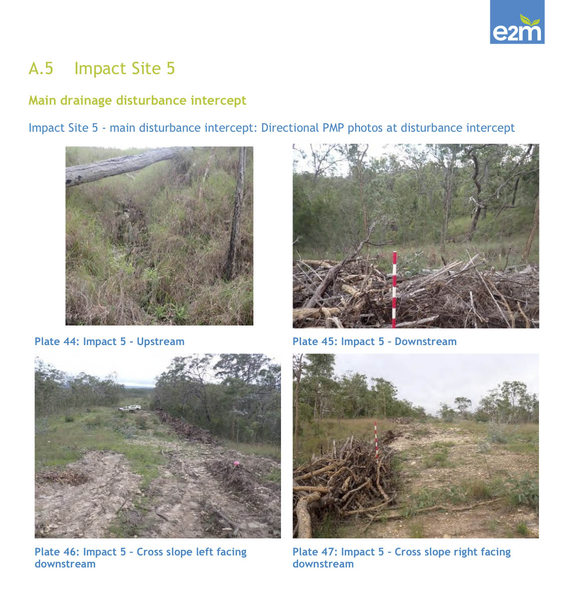 AusBiodiversity's tweet image. The Magnificent Broodfrog doesn't stand a chance. Great way to help wipe out a species! I wonder what would happen if this was a mine site? The proposed Chalumbin, Upper Burdekin and Mount Fox Energy Park combined will consist of an additional 350km of new haulage roads on top of…