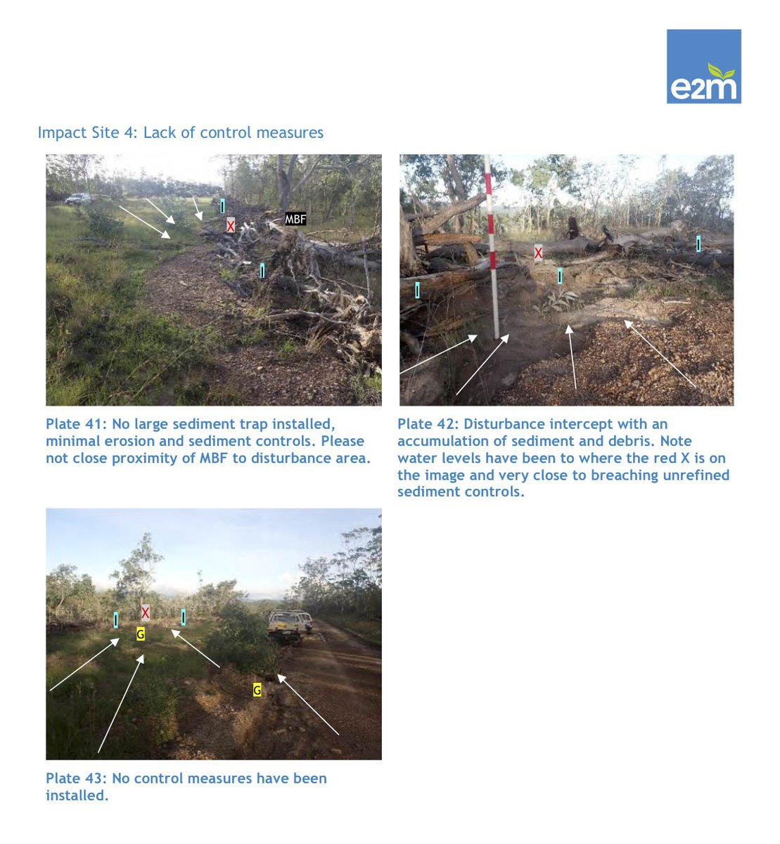 AusBiodiversity's tweet image. The Magnificent Broodfrog doesn't stand a chance. Great way to help wipe out a species! I wonder what would happen if this was a mine site? The proposed Chalumbin, Upper Burdekin and Mount Fox Energy Park combined will consist of an additional 350km of new haulage roads on top of…