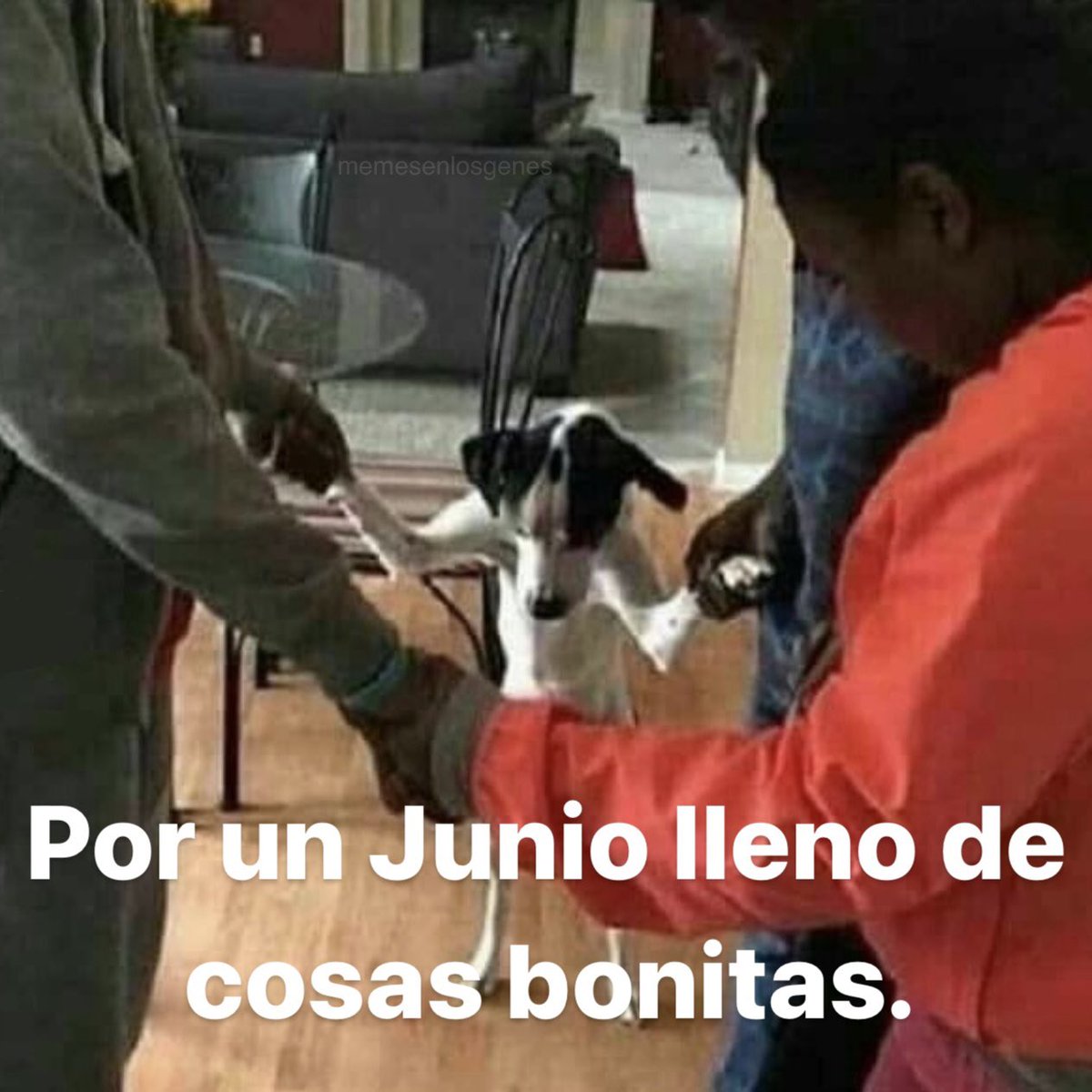 memesenlosgenes (@memesenlosgenes) on Twitter photo 