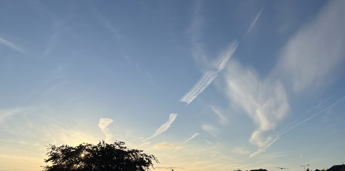 GM to the hardest grinding community there is, I got a feeling we’re going to have a good day ☕️