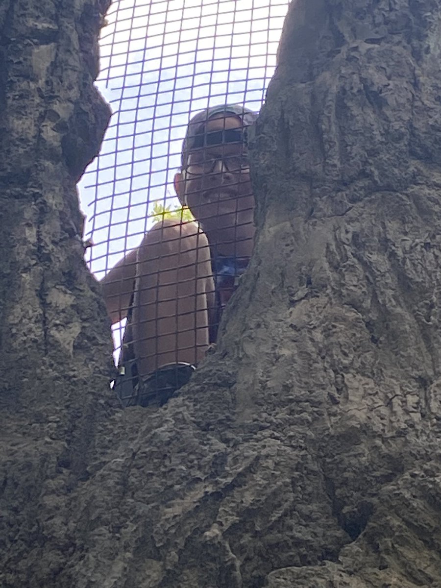 halling_'s tweet image. Field Trip #2 to Botanica! What a beautiful place to visit! Then a late lunch at the Doo Dah Diner! Always great food &amp;amp; great people! #sunflowersummer