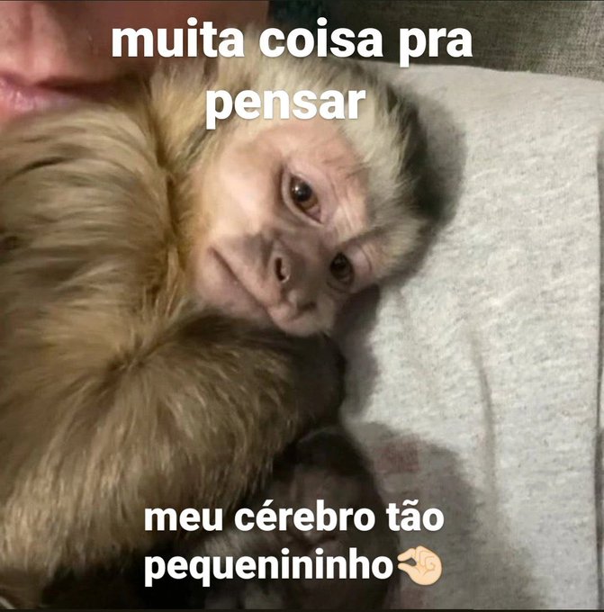 Loud Review (@theloudreview) on Twitter photo 