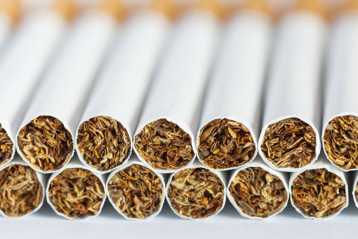 En el #DiaMundialSinTabaco recordemos:

1. Las tabacaleras son la única industria que pierde la mayoría de sus clientes, porque estos mueren por consumir sus productos.

2. En México, ni un solo centavo del impuesto al tabaco se dedica a la salud o a los estragos del tabaquismo.