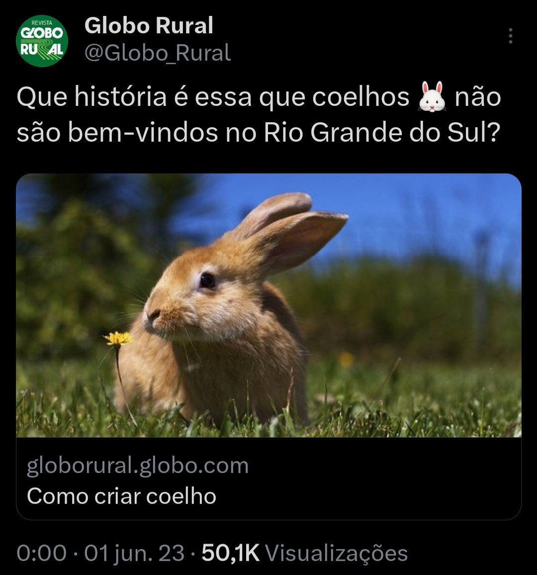 Globo Rural (@GloboRural) / X