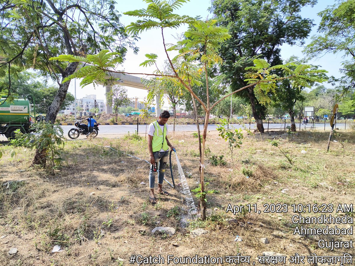 Catchfoundatio1's tweet image. This allows not only plants to get sufficient water for survival but also for the soil to maintain moisture. These activities are scheduled and executed by the Catch Foundation's on-ground committed team.  

#watering #plant #denseforest #urban #miyawaki #trees #teamwork #summer