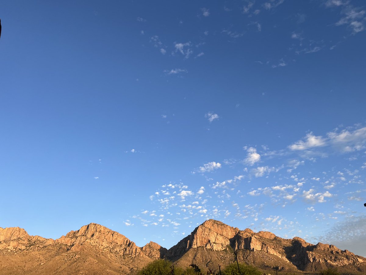 John Elfar tweet media