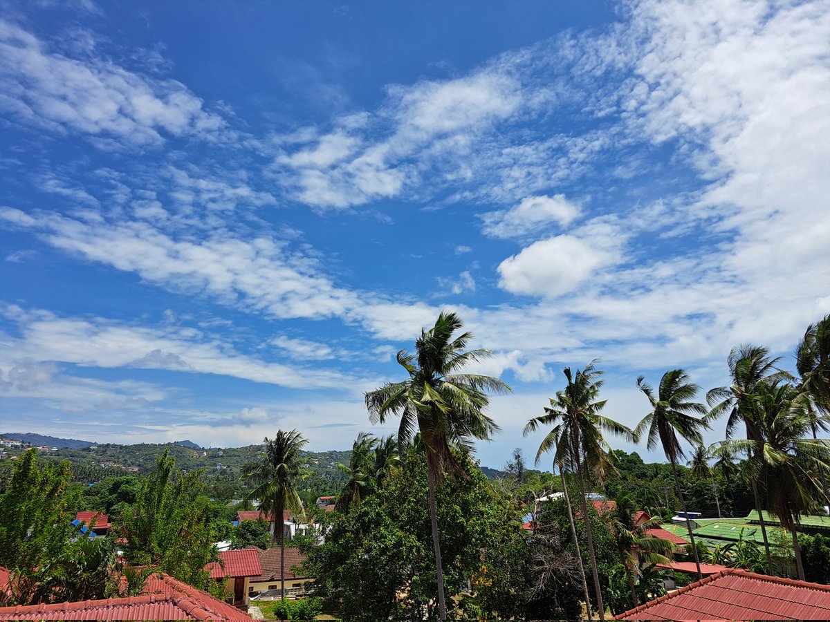 JackieSamui's tweet photo. Good Morning Samui
#สมุย #เกาะสมุย https://t.co/1O59vHeR9M