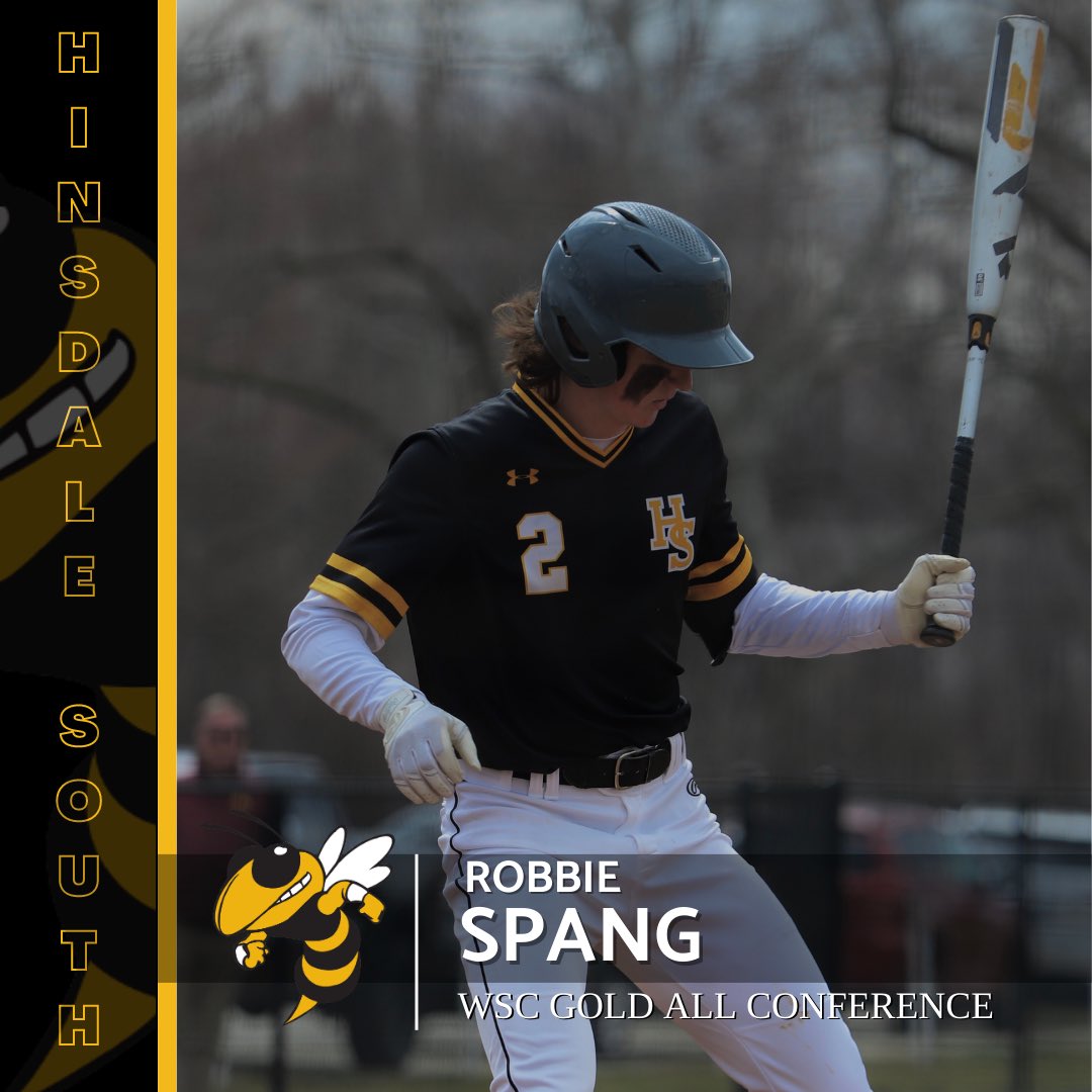 Hinsdale South Baseball tweet media