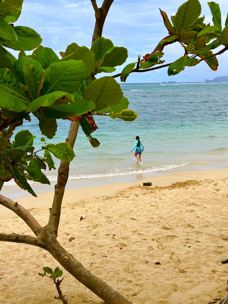 Amyhowzit's tweet photo. Beautiful beach day ☀️💦 https://t.co/5E25eImag0