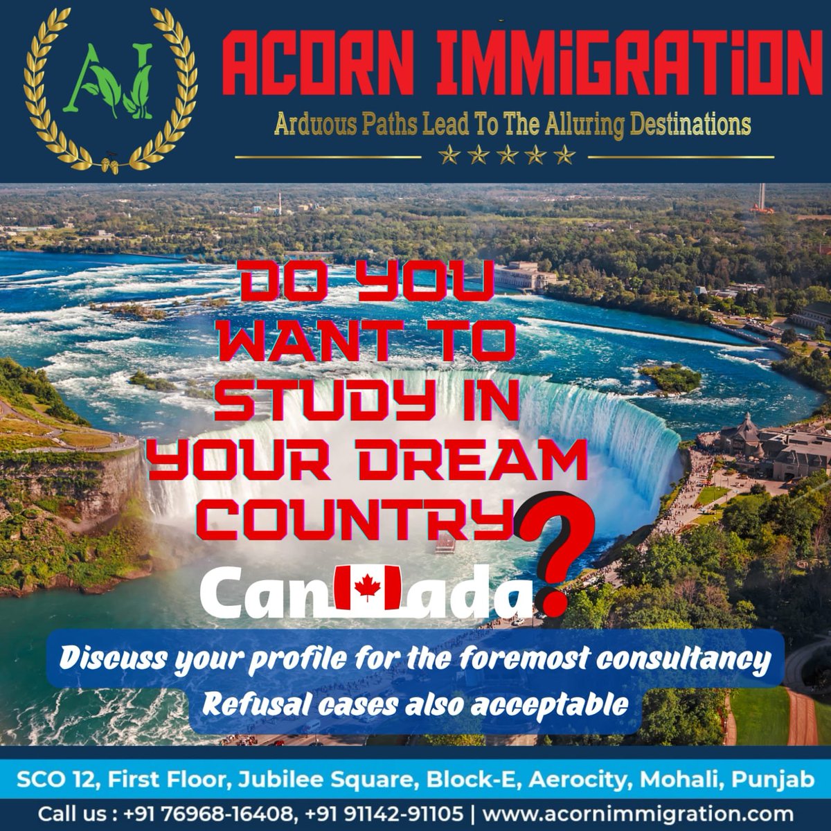 a_immmigration's tweet image. 