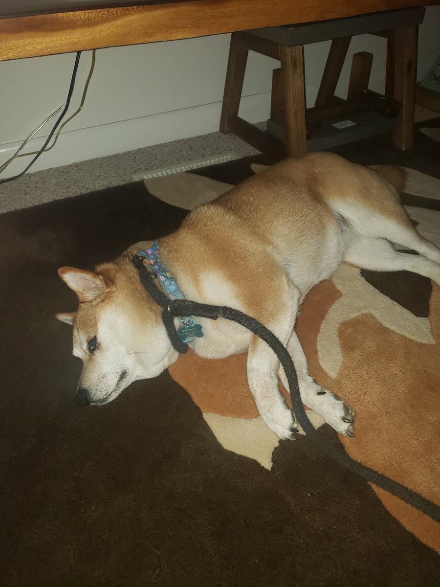 Rookie City Sergeant on Twitter "My wife is at a conference in