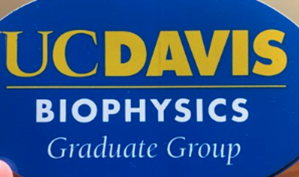 Ele Grandi (@ele_grandi_) on Twitter photo Today we celebrated a great year of the <a href="/UCD_BPH/">UCD Biophysics</a>! Thanks BPH students and faculty for sharing your talents and enthusiasm, and <a href="/vyy_sf/">Vladimir Y-Y</a> for your partnership. Congrats Simon Chu, Diego Lopez Mateos, <a href="/KyleRouen/">Kyle Rouen</a> on your BPH service awards, and <a href="/MorottiLab/">Stefano Morotti</a> on your BPH Mentoring Award! Today we celebrated a great year of the <a href="/UCD_BPH/">UCD Biophysics</a>! Thanks BPH students and faculty for sharing your talents and enthusiasm, and <a href="/vyy_sf/">Vladimir Y-Y</a> for your partnership. Congrats Simon Chu, Diego Lopez Mateos, <a href="/KyleRouen/">Kyle Rouen</a> on your BPH service awards, and <a href="/MorottiLab/">Stefano Morotti</a> on your BPH Mentoring Award!
