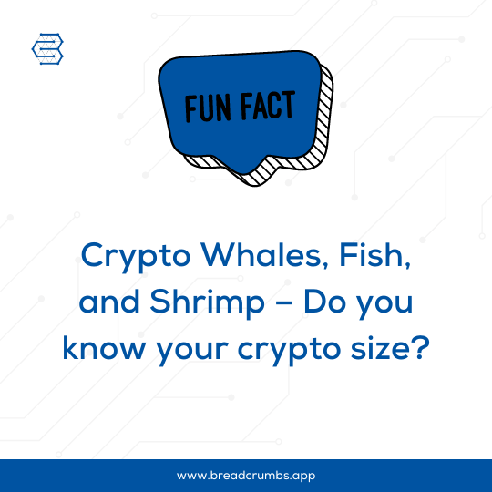 AppBreadcrumbs's tweet image. In the world of crypto, we have &apos;whales,&apos; &apos;fish,&apos; and &apos;shrimp.&apos; These terms refer to the size of a holder&apos;s wallet, with whales owning the most and shrimps the least! 🐋🐠🦐 #CryptoLingo #FunFact #Breadcrumbs