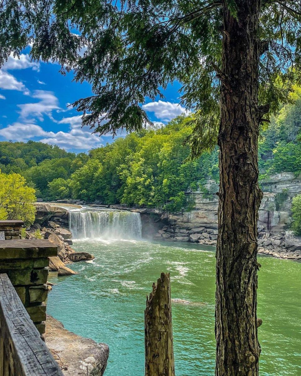 happy Thursday everyone! 

📍 Cumberland Falls State Resort Park In Kentucky, USA 🇺🇸 

📷: instagram.com/shroomsandbloo…