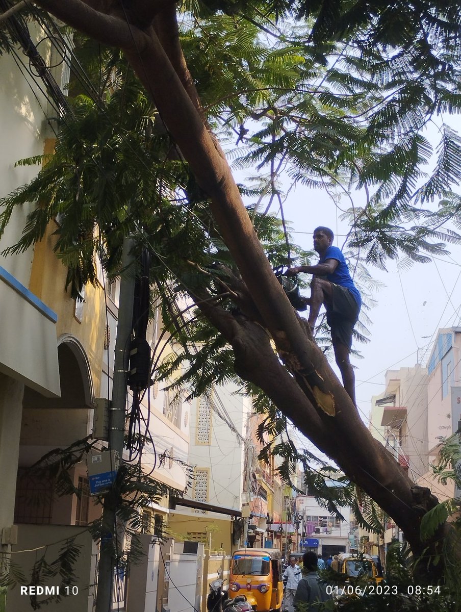 @chennaicorp Yesterday's Thatchi Arunachalam Street road relaying shoddy work during nighthours not maintainable the required standard specification.Made lesser Road Width, bitumen not laid upto the height,uneven,using JCB to uprooted one 40years old trees andone building damaged