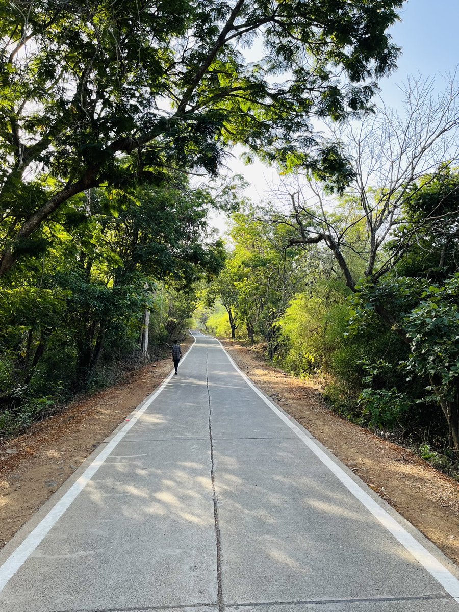 ameya91's tweet image. Run day 🏃🏻‍♂️…
Today’s heat (33C) and humidity (78%) was on another level. Sun was lashing soo hard that I got a tan. The only breeze I got was when a vehicle went past me 💀 

#chasingTheSun #runnersOfTwitter #runchat #runnect #admireYourself #fitIndiaMovement