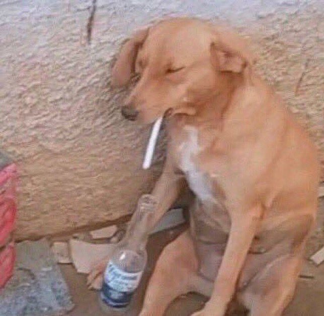 ME TOME UN AÑO SABÁTICO DE LA FACULTAD tweet media