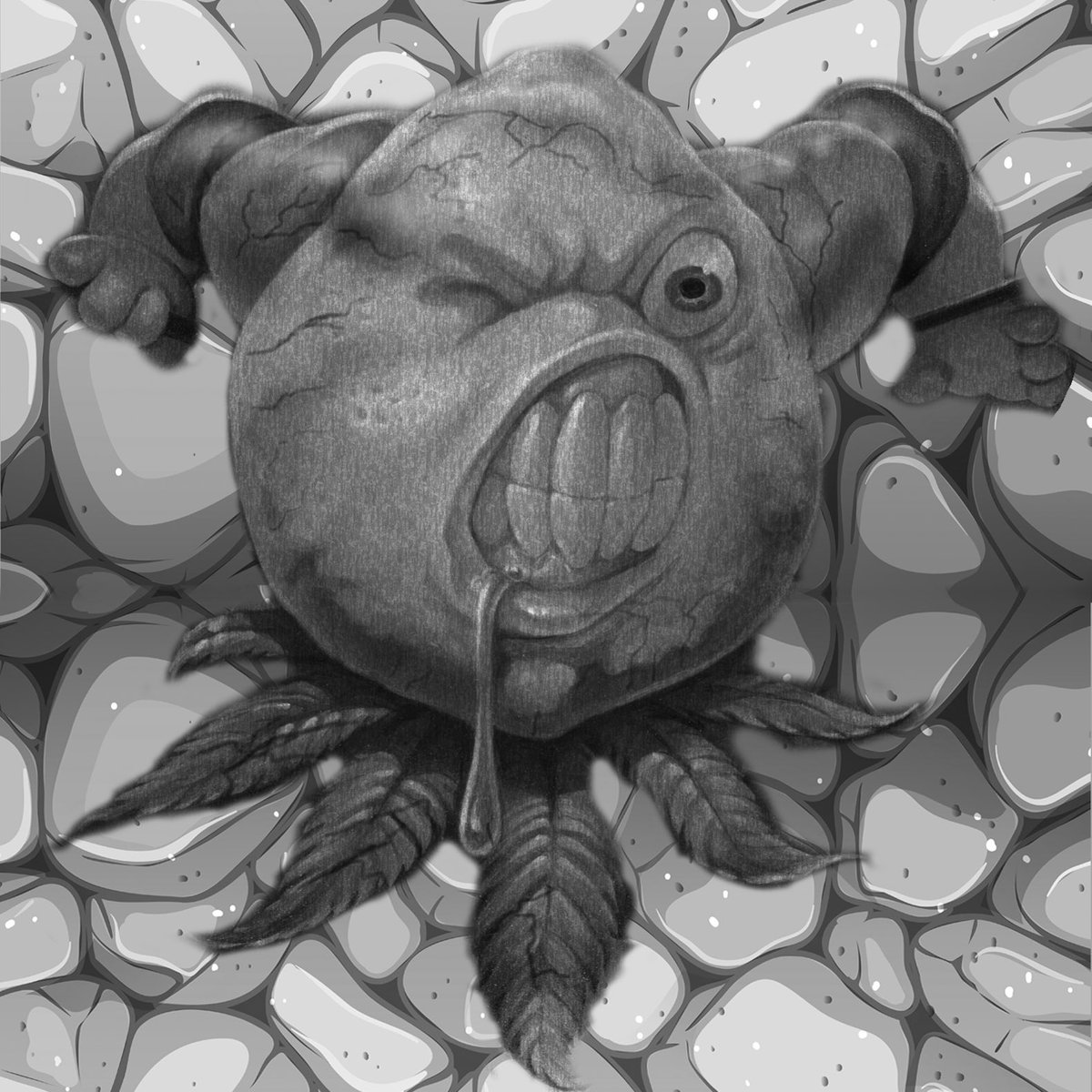 Stoney Baloney Cards tweet media