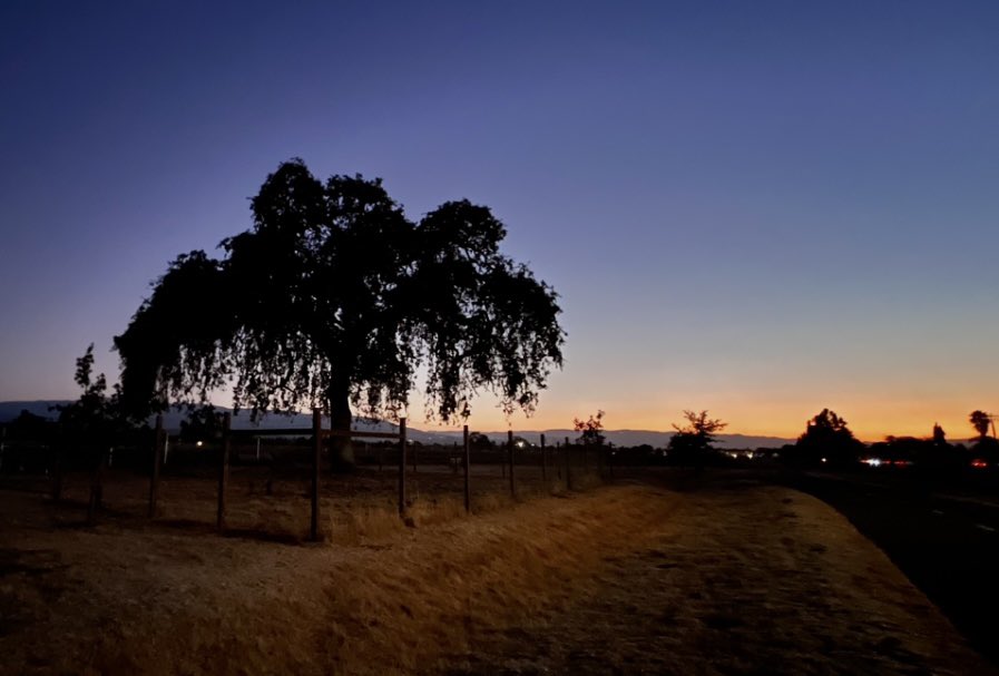 My late #sunset-to-twilight #trailrun🏃🏻‍♀️ meets your end of day Wed….or start of your Thurs….or end of your Thurs.🌎 Whatever time zone you may be in, wish you all well and bid you G’Night from NorCal. 🌉🌙✨

#eveningrun #runhappy #outdoorsrunning #runningmotivation #stayfit