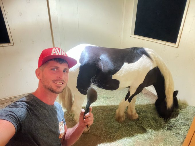 She shines up real nice after I brush her with multiple brushes and combs. 🥰 https://t.co/iqq0qFNG9E<a href="/tag/thelastkingdom"class="tags"><span>#thelastkingdom</span></a>