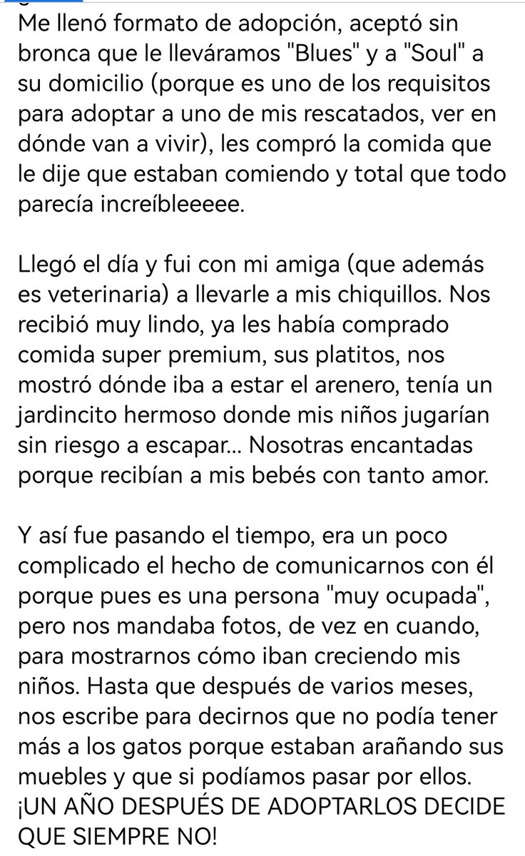 Marifer🦇 tweet media