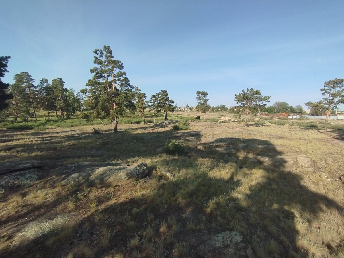 Gm web3 family ☕
I ran a cross in the woods 🏃‍♂️🔥