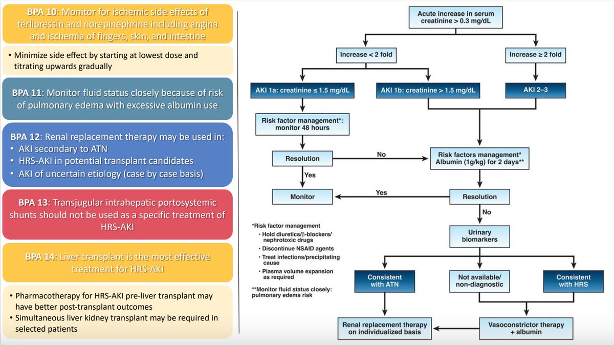 🔥🔥 Emoroid Digest 🔥🔥 Rising creatinine in cirrhosis? The dreaded complication! Check out Dr. Yu’s (@michaelandrewyu) visual summary on @AmerGastroAssn practice update on evaluating & managing AKI in patient w/ cirrhosis! #EmoroidDigest #GITwitter #MedTwitter #LiverTwitter