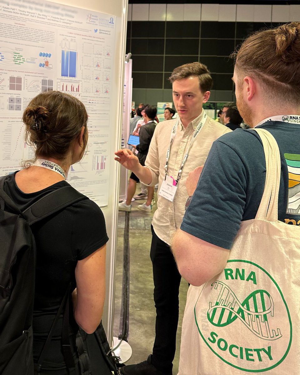 James A. Oo (@jamesaoo7) on Twitter photo Delighted to have been given the opportunity by the <a href="/RNASociety/">The RNA Society</a> to present my work at #RNA23 #RNA2023 in #Singapore. Had great discussions about #lncRNA regulation of #chromatin complexes in #endothelial #gene #expression.
<a href="/RNASociety/">The RNA Society</a> <a href="/jrRNAscientists/">Jr RNA Scientists</a> <a href="/BrandesLab/">Institute for Cardiovascular Physiology</a> Delighted to have been given the opportunity by the <a href="/RNASociety/">The RNA Society</a> to present my work at #RNA23 #RNA2023 in #Singapore. Had great discussions about #lncRNA regulation of #chromatin complexes in #endothelial #gene #expression.
<a href="/RNASociety/">The RNA Society</a> <a href="/jrRNAscientists/">Jr RNA Scientists</a> <a href="/BrandesLab/">Institute for Cardiovascular Physiology</a>