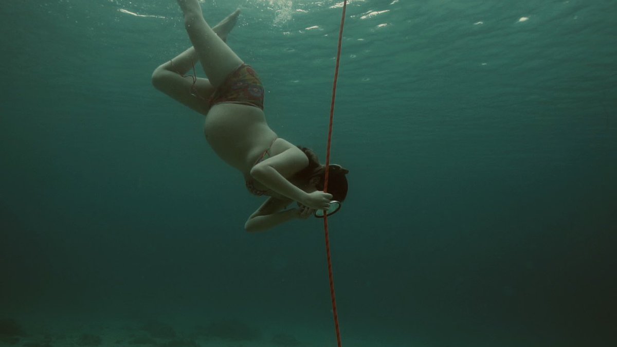 papigalangpo's tweet image. Sometimes you just have to let the sea set you free🌊🪸🧜‍♀️

Full Vlog👇🏻👇🏻👇🏻👇🏻
youtu.be/3xns07l_OUA



greatfortune.ph/Checkout?refId…

#TEAMHAPI #PAPIGALANG #TOROFAMILY #FREEDIVING

📸Maximum Freediving 🤿