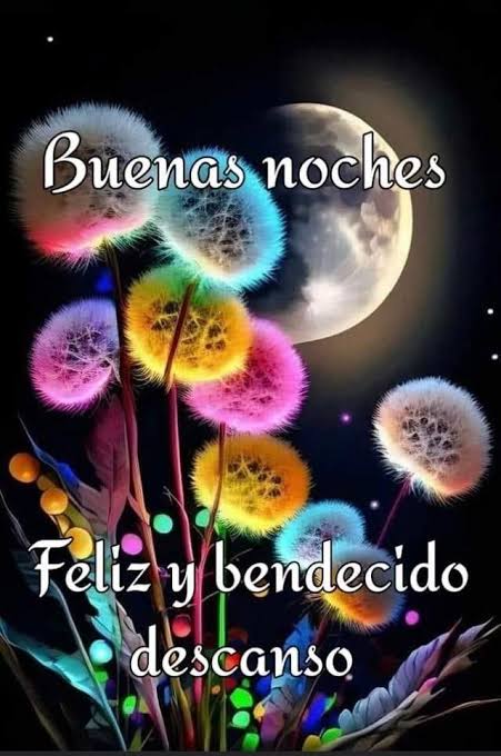 , 🌃🦁🌃BONITA NOCHE, 🌃🦁🌃