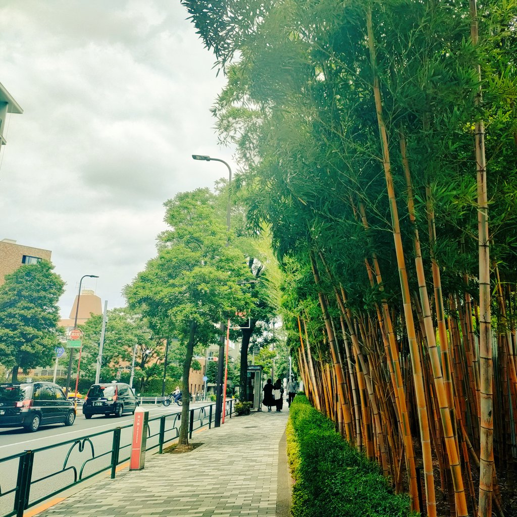 曇り空へ変わってきました⛅
台風接近で天気は下り坂ですが　
6月は晴れ晴れスタート💪