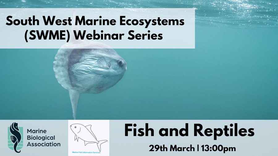 SWMEcosystems (@_swmecosystems) on Twitter photo Listen to our Fish and Reptiles webinar, hosted by
<a href="/thembauk/">MBA - Marine Biological Association</a> from earlier this year on our YouTube channel! 🐟
Hear all about occurrences of interesting fish, shark populations and turtle records in the South West!
Catch up on our webinars here: youtube.com/@southwestmari… Listen to our Fish and Reptiles webinar, hosted by
<a href="/thembauk/">MBA - Marine Biological Association</a> from earlier this year on our YouTube channel! 🐟
Hear all about occurrences of interesting fish, shark populations and turtle records in the South West!
Catch up on our webinars here: youtube.com/@southwestmari…