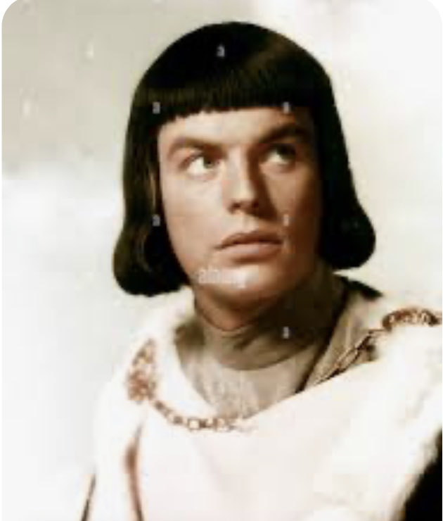 #PrinceValiant is one of the #goat #greatest #sundayfunnies #comicstrip #ever but the #movie #flopped in part to him looking like this. #RobertWagner played him as #stiff as an ironing-board, delivering his lines like a #highschooler reading their #essay in front of class.