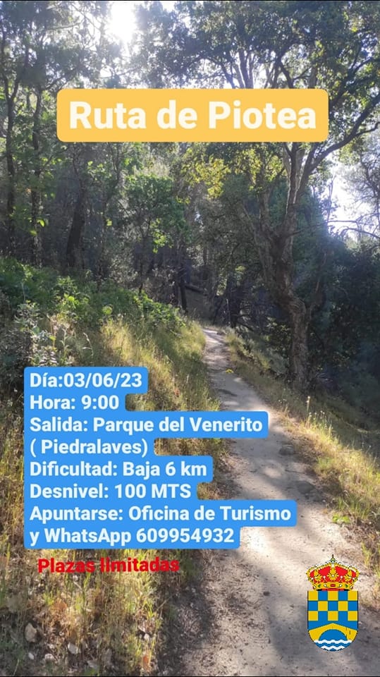 Oficina Turismo de Piedralaves
Próxima ruta de senderismo
Ruta de Piotea Día: 03/06/23
Web turismo: valledeltietar.net/piedralaves/
--
#piedralaves #valledeltietar #gredos #campusdeverano #avila #castillayleon