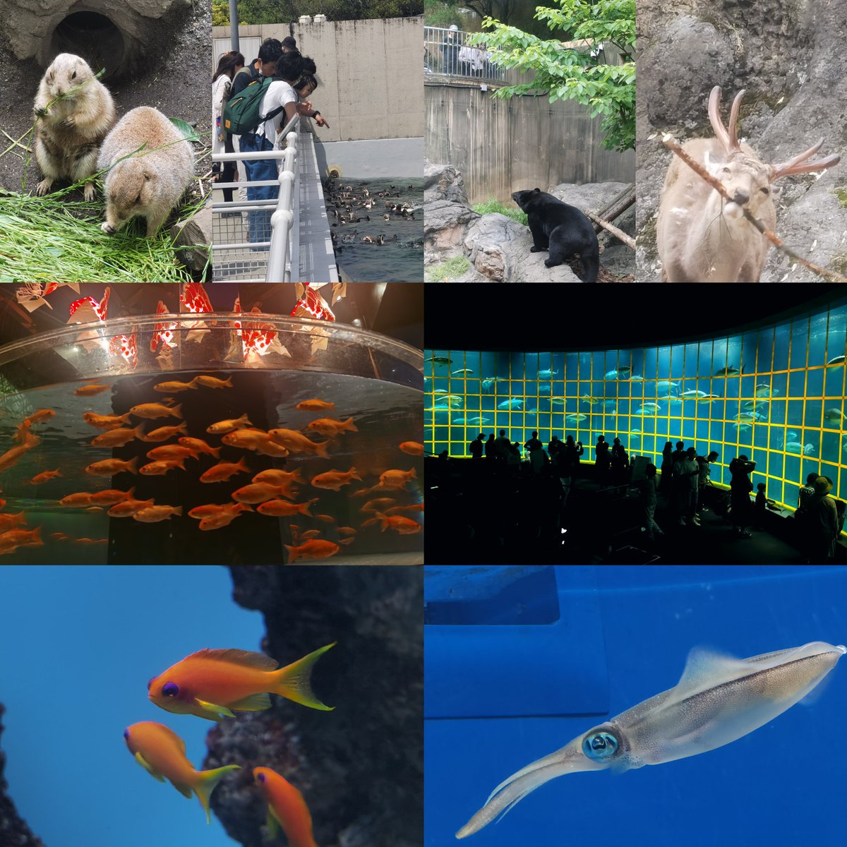 It comes to the last day of my first international conference + travel. What a fantastic trip in Tokyo! Saw so many things and met so many people, would definitely visit here again.